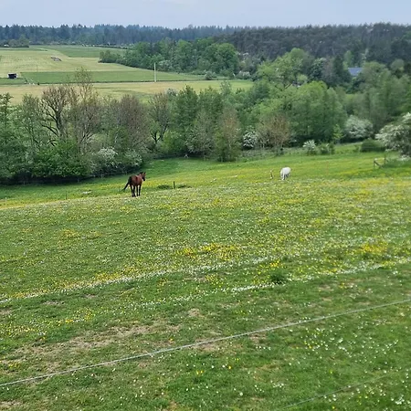 빌라 Les Terrasses De Laloux